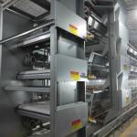 Hot Galvanized Poultry Farming Battery Cage System For Laying Hen for sale