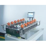 Manual Desk Top 500g 1Kg Weigher Machine For Fruit Vegetable Meat Fish