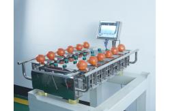 China Manual Desk Top 500g 1Kg Weigher Machine For Fruit Vegetable Meat Fish supplier