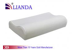 China Anti - Mite Memory Foam Leg Pillow , Durable Memory Foam Cervical Pillow supplier