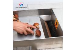 China Professional cutting mushroom slice mushroom cutting processing equipment mushroom slicer chopping machine supplier