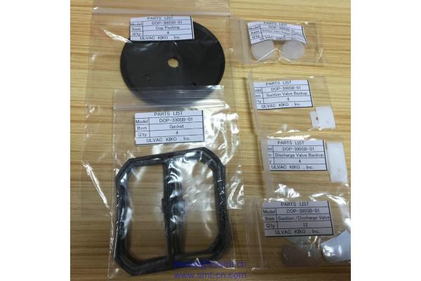 FX-2/3 40068178 VACUUM PUMP MAINTENANCE KIT