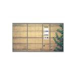Custom Outdoor High End Computerized Parcel Locker Electronic Barcode Parcel Locker