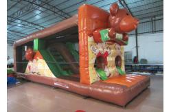 China Lovely Obstacle Course Bounce House , Kids Inflatable Obstacle Course 3 X 9x 3m supplier