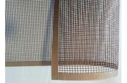 China Drying And Conveying Heat Resistant Ptfe Mesh Belt supplier