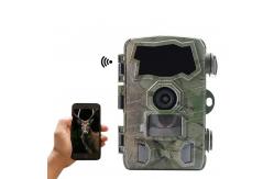 China Outdoor 4k WIFI Trail Camera Infrared Surveillance Max 512G Memory Camera supplier