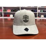 Hot Sales ACE Custom Unisex 6 panels Cotton Fabric Flat Embroidery Lion Logo Metal Back Closure Baseball Cap for sale
