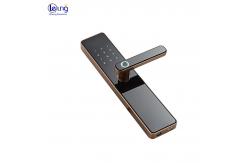 China S819 Smart Fingerprint Locks Zigbee Biometric Door Locks For Home supplier