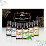 6pcs Aromatherapy Essential Oil Set 0.3kg 100% Pure Essential Oil Gift Set COA for sale