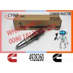 4928260 4928260NX 4928260 For Engine QSX15 ISX15 Neutral Fuel Injector 4928260NX 4928260 for sale