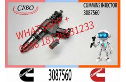 China 3087733 Diesel Fuel Injector N14 Common Rail Injector 3087560 3411752 3411765 supplier