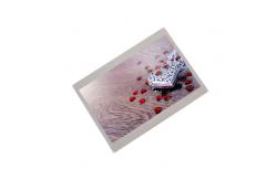 China AA050MG02 5.0 inch display 800*480 TFT LCD display supplier