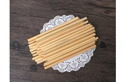 China Reusable Eco Friendly Bamboo Drinking Straw Zero Waste Bamboo Straws supplier