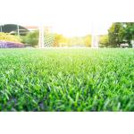 Anti Ultraviolet Artificial Grass Sports Flooring 30mm Garden Landscape Lawn for sale