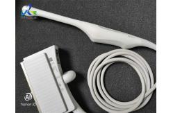 China Endocavity Array Ultrasound Transducer Probe Siemens Acuson MC9-4 supplier