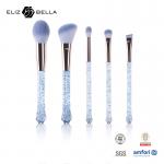 5pcs Transparent Plastic Handle Cosmetic Brush Set Customized Packag for sale
