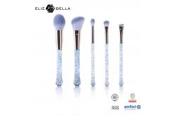 China 5pcs Transparent Plastic Handle Cosmetic Brush Set Customized Packag supplier