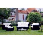 5pcs garden cane furniture sofas   for sale