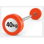 RAPID Gym Equipment Accessories / Gym Weights Dumbbells For Aerobic / Anaerobic Exercise for sale