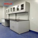 OEM Practical Science Laboratory Furniture Moistureproof For School