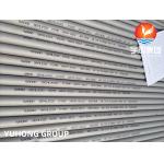 ASTM A312 TP304 / TP304L SMLS Austenitic Stainless Steel Pipes for sale