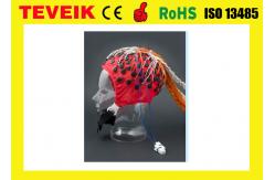 China High Performance 20 Leads EEG Cap with Silver Chloride Electrode Reusable supplier