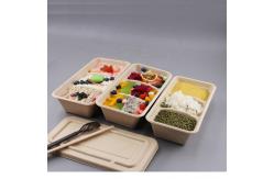 China Bagasse Fiber Biodegradable Containers With Lids For Takeout Parties supplier