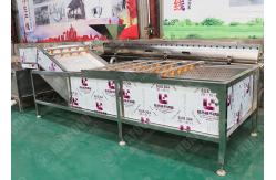 China High Pressure Brush Potato Washing Machine , Fruit And Vegetable Cleaner Machine supplier