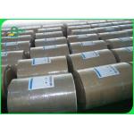 Grade AAA 350gsm Duplex Board CCNB / Clay Coated News Back for Packaging
