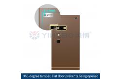 China Biometric Safe Home Safe Box Under Desk Safe Home Safe With Key supplier