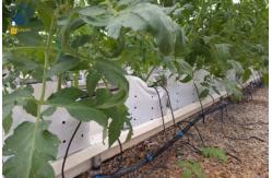 China Vertical Planting PVC Substrate Grow Gutter Hydroponic Pepper Tomato Plant Trough supplier