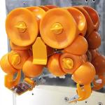120W Grapefruit Juice Making Machine Orange Juice Extractor Machine high Yield