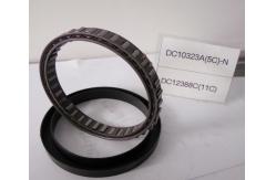China Stieber quality sprag cages DC10323A  one  way sprag overrunning backstop clutch supplier