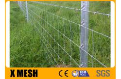 China Hinge Joint Galvanized Field Fence With Wire Mesh 1.8m ASTM A121 supplier
