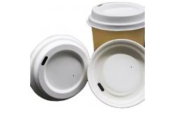 China Paper Water Cups 90mm Disposable Bagasse Cup with Lids for Sale supplier