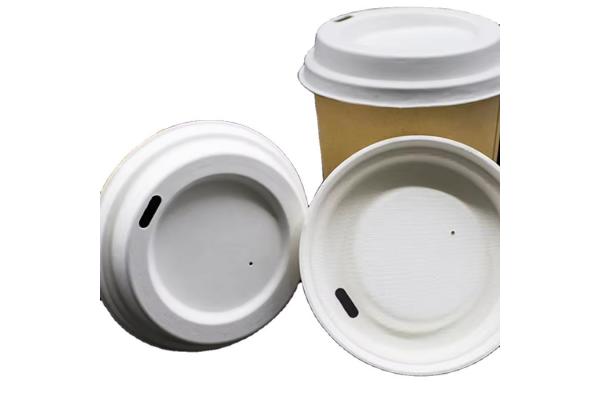 Paper Water Cups 90mm Disposable Bagasse Cup with Lids for Sale