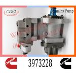 Diesel Engine Parts Fuel Injection Pump 3973228 4954200 4921431 For Cummins QSC8.3 for sale