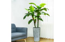 China Dieffenbachia Artificial Landscape Plants Anti UV Evergreen Looking Natural Faux Tree supplier