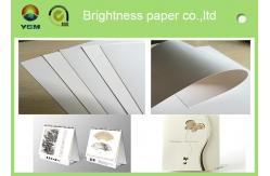 China Food Grade Cardboard Sheets , Folding Box Board Paper Chemical Mechanical Pulp supplier