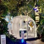 3.5m Bubble Tent House Flame Retardant Bubble Dome Tent For Hotel for sale