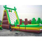 Large-Scale Inflatable Rock Climbing Wall With Slde And Pool For Entertainment for sale