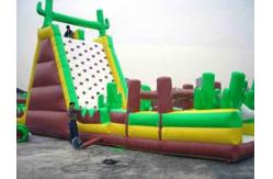 China Large-Scale Inflatable Rock Climbing Wall With Slde And Pool For Entertainment supplier