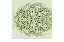China Green Tea Tofu Kitty Litter With No Dust Flushable Kitty Litter supplier