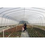 Easily Installed UV Plastic Covering Greenhouses for Commercial Agriculture for sale