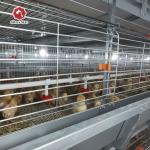 Hot Galvanizing 6 Tiers 204 Birds Broiler Cages Chicken Raising for sale
