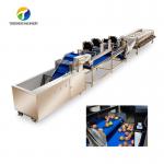 Tengsheng High Voltage Spraying Fruit And Vegetable Processing Line Industrial residual degradation for sale