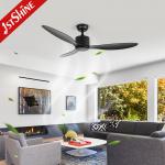 Small And Low Profile Black Modern Ceiling Fan DC Motor ABS Blade