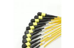 China 1M MPO Fanout Cable supplier