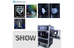 China 1000W Laser 3D Photo Crystal Engraving Machine Inner Crystal Ball Photo Engraver supplier