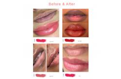 China Lip Permanent Makeup Pigments For Machine Water Base Liquid supplier